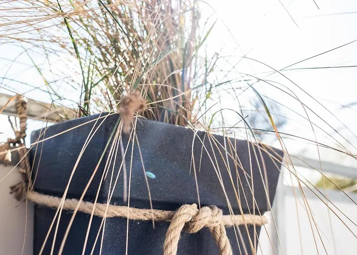 _von Witte_ Lindenstr_13 Whg_6 *